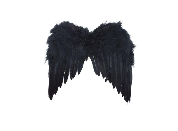 Vinger - Fjær - Sort 1 Par - 35cm 