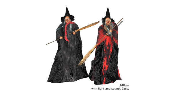 11631
