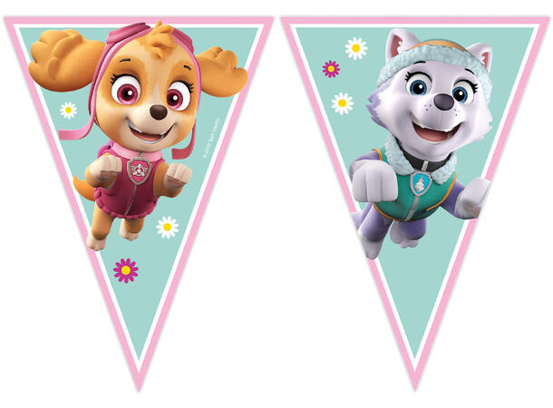 Paw Patrol - Skye And Everest 1 Flaggbanner (9 flagg)