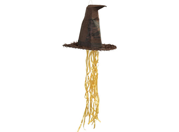 Harry Potter 1 Pull Pinata - 3D