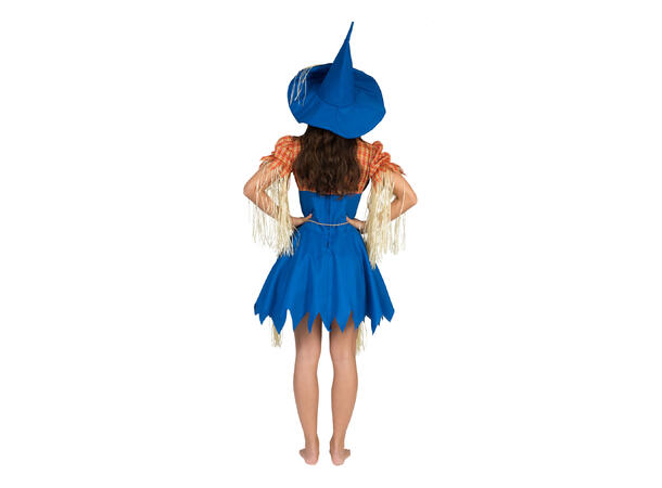 Kostyme - Fugleskremsel Kjole med skjorte, hatt og belte