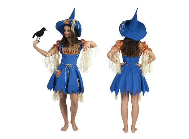 Kostyme - Fugleskremsel Kjole med skjorte, hatt og belte