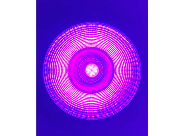 LED UV blacklight spot 15W UC COB LED