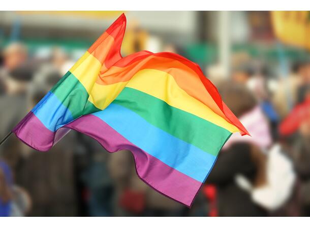 Flagg - Rainbow 1 Flagg i nylon - 90x150cm