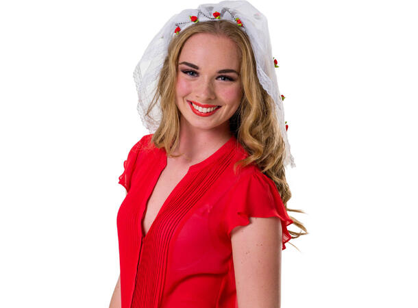 Tiara bride to be - m/brudeslør 1 Tiara med slør- Onesize
