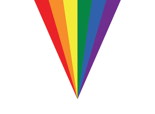 Flaggbanner - Regnbue - 10 Flagg 1 Vimpelbanner - 5m