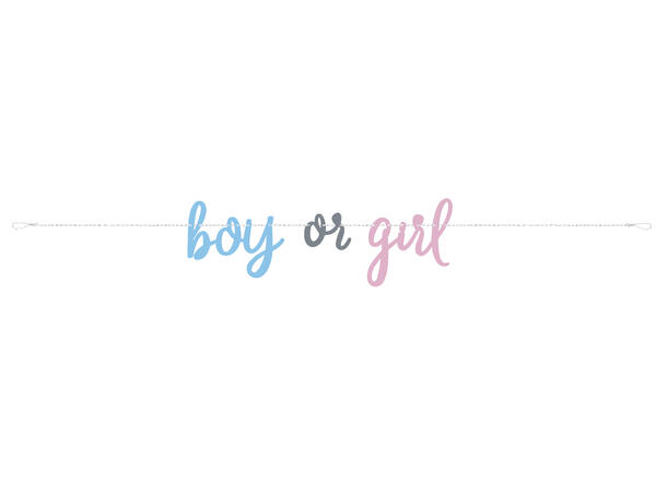 Gender Reveal Party 1 Bokstavbanner - 213cm