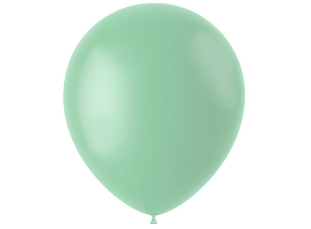 Gummiballonger - Powder Pistache Matt 100 Gummiballonger - 33cm (13")