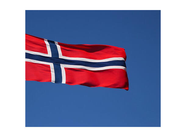 Norsk Flagg 1 Flagg i nylon - 90x150cm