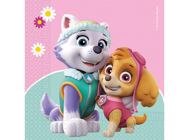 Paw Patrol - Skye And Everest 20 Tolags papirservietter - 33x33cm
