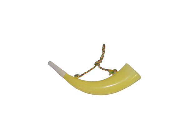 Horn - Alpe 1 Horn