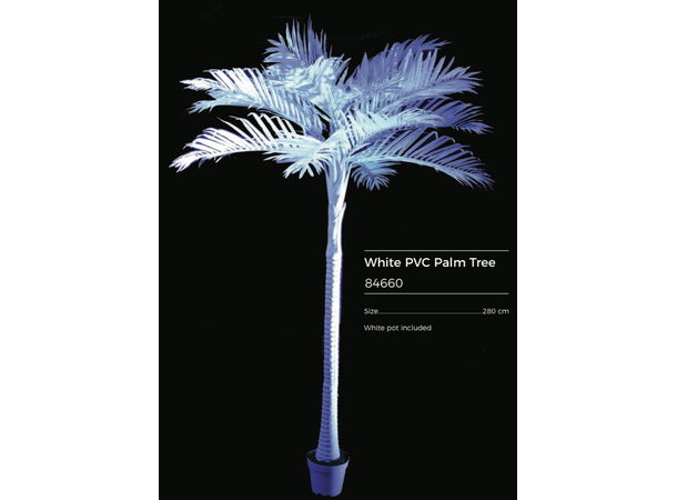 Palmetre i hvit PVC Høyde: 280cm