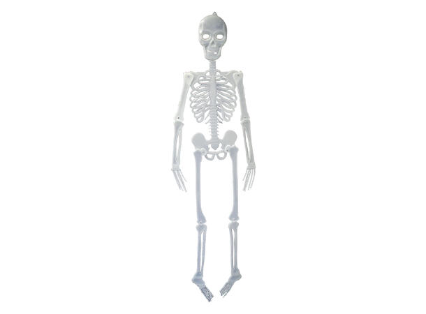 Skjelett - Selvlysende 1 Figur - 150cm