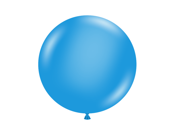 Blue 50 gummiballonger - 43cm (17")
