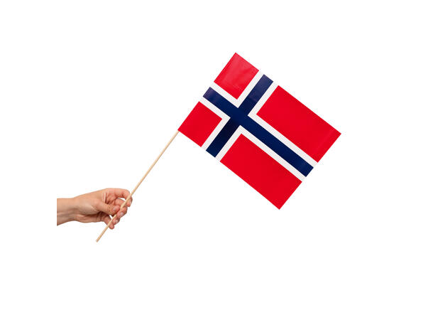 Norsk flagg 10 Papirflagg på pinne - 20x30cm