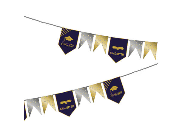 Academic Elegance - Graduation 1 Flaggbanner i papir - 6m