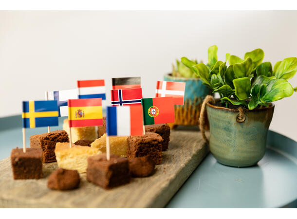 Flag picks - International 50 Cocktailpinner med flagg