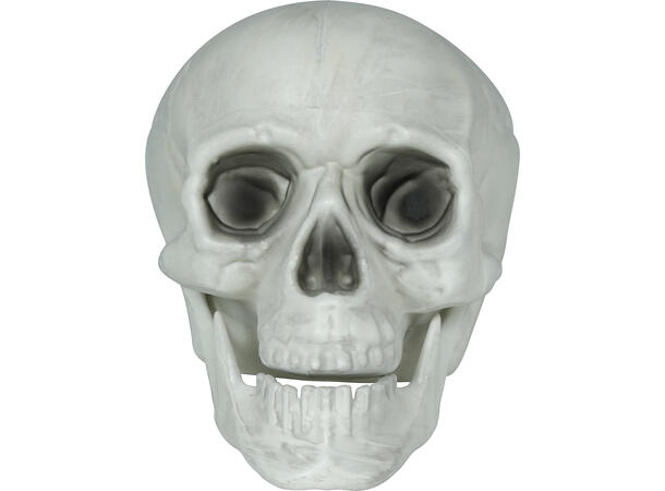 3 Hodeskaller - hvite 3 Dekorasjoner i PVC - 15cm 