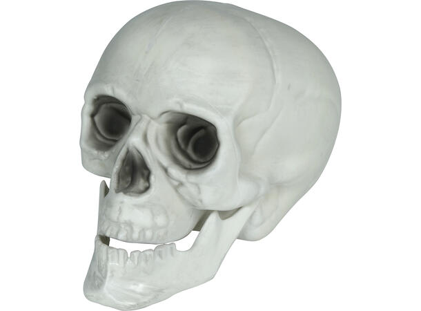 3 Hodeskaller - hvite 3 Dekorasjoner i PVC - 15cm 