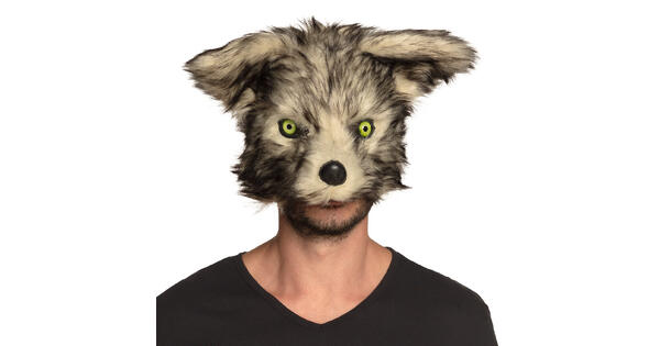 46291