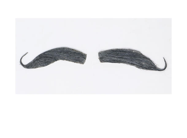 Bayersk bart - Grå 1 Selvklebende bart i syntetisk hår 