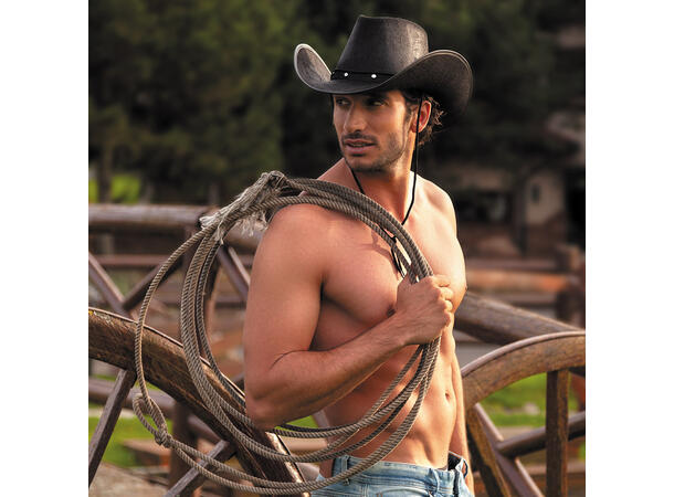Cowboyhatt - Wichita - Sort 1 Hatt til voksen - Onesize 