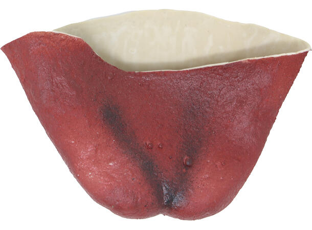 Demonsett - Ører, horn og hake 1 Sett i lateks 