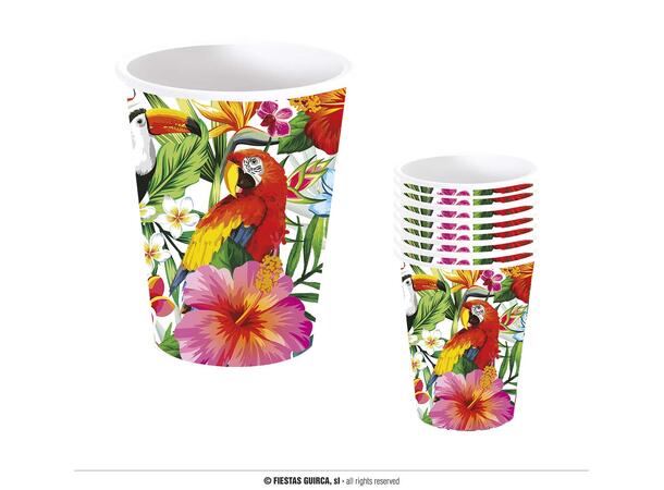 Hawaii 6 Kopper i papp - 2,4dl 