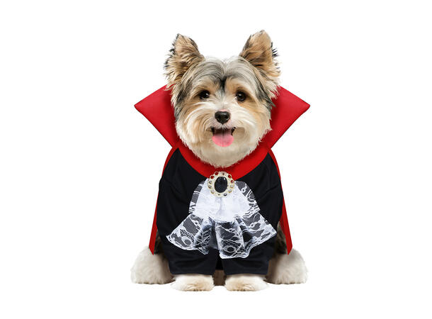 Hundekostyme - Wooferatu 1 Hundekostyme - Str M 