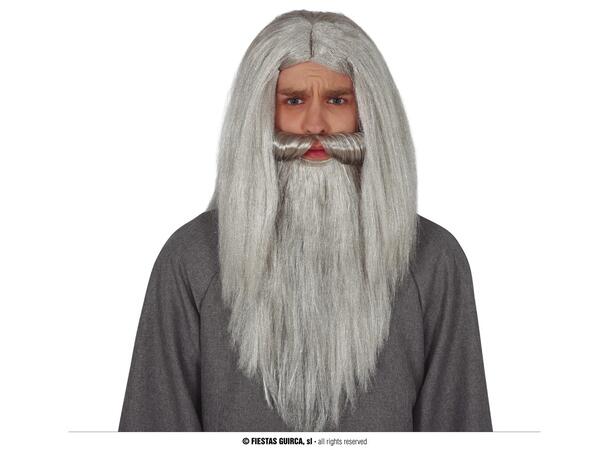 Parykk og skjegg - Sølvgrå lang 1 Parykk i syntetisk hår 