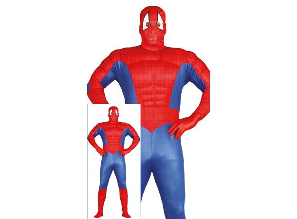 Superhelt - Edderkoppmann - Rød/Blå 1 Herrekostyme - str 48-50 (M) 