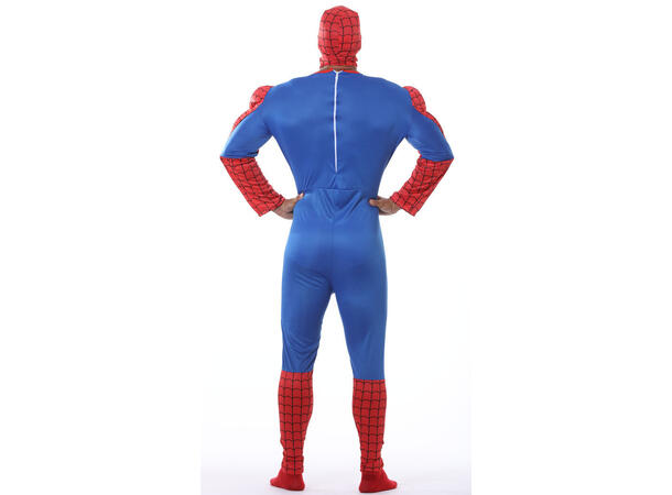 Superhelt - Edderkoppmann - Rød/Blå 1 Herrekostyme - str 48-50 (M) 