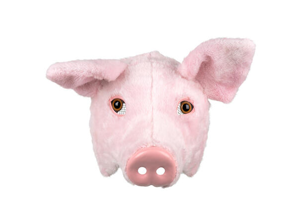 Ansiksmaske - Dyrehoder - 6 Assoterte 1 Maske i plysj - Onesize 