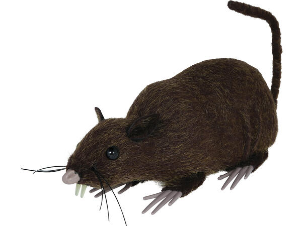 Brun rotte 1 Rotte- 15cm 