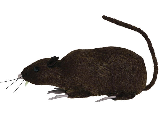 Brun rotte 1 Rotte- 15cm 