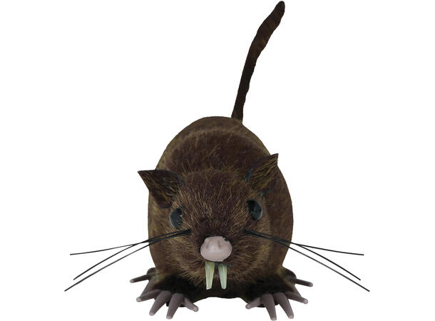 Brun rotte 1 Rotte- 15cm 