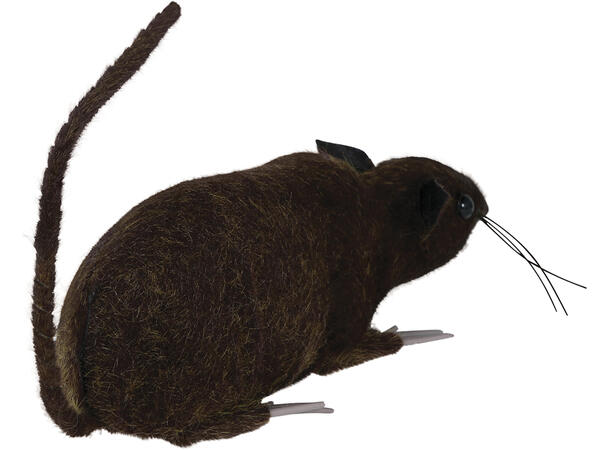 Brun rotte 1 Rotte- 15cm 