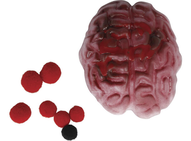 Div organer i myk lateks - 4 ass Display med 12 organer - 10cm 