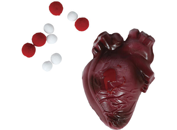 Div organer i myk lateks - 4 ass Display med 12 organer - 10cm 