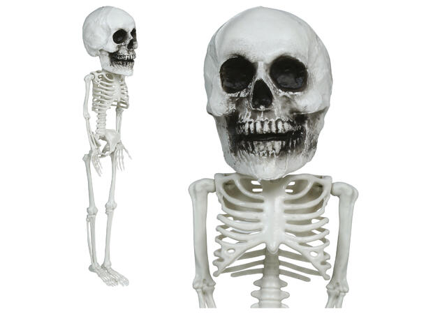 Hengende skjelett m/stort hode 1 Dekorasjon i PVC - 40cm 