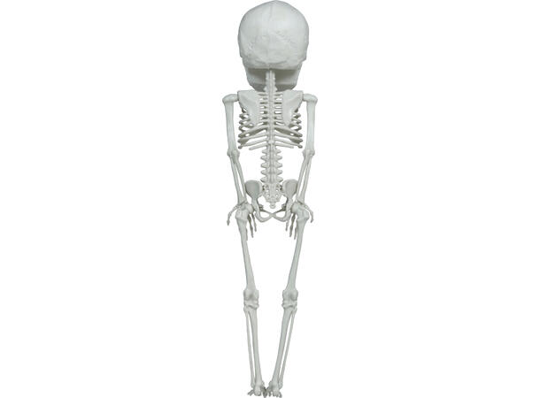 Hengende skjelett m/stort hode 1 Dekorasjon i PVC - 40cm 