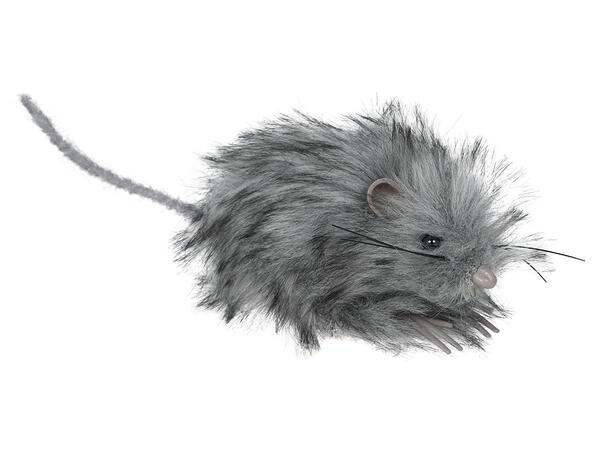 Liten grå mus 1 Mus - 11cm 