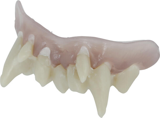 Monstertenner - High Quality 1 Sett tenner i harpiks 