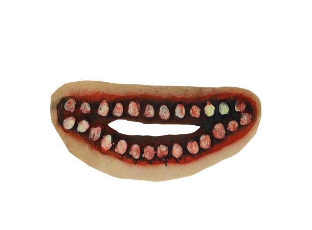 Munnarr - stort 1 Kunstig arr i lateks - 15cm 