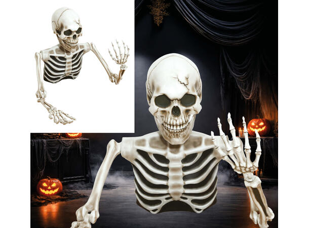 Skjelett - Halvfigur 1 Halvt skjelett i PVC - 115x154cm 