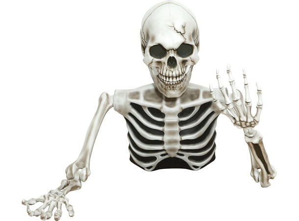 Skjelett - Halvfigur 1 Halvt skjelett i PVC - 115x154cm 