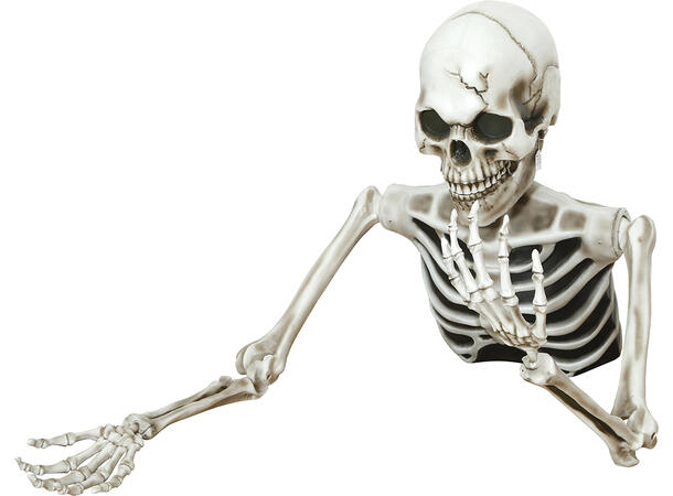 Skjelett - Halvfigur 1 Halvt skjelett i PVC - 115x154cm 