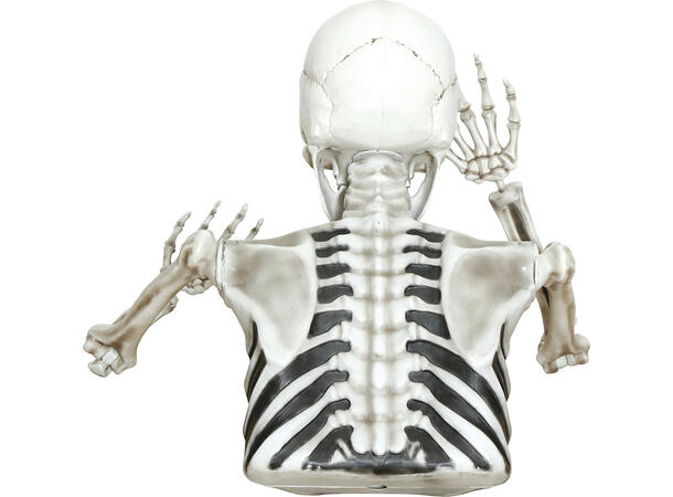 Skjelett - Halvfigur 1 Halvt skjelett i PVC - 115x154cm 