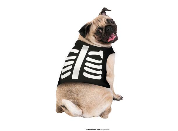 Skjelettkostyme til hund 1 Hundekostyme - Str M 