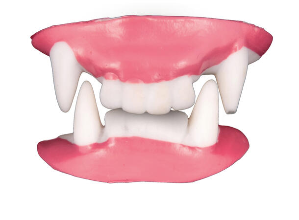 Vampyrtenner - Helt sett 1 sett med tenner i plast 